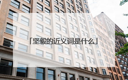 坚毅的近义词是什么