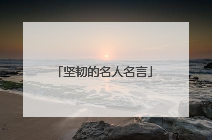 坚韧的名人名言