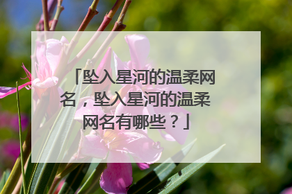 坠入星河的温柔网名，坠入星河的温柔网名有哪些？