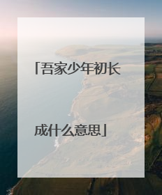 吾家少年初长成什么意思