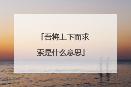 吾将上下而求索是什么意思