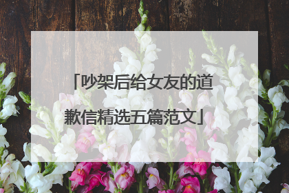 吵架后给女友的道歉信精选五篇范文