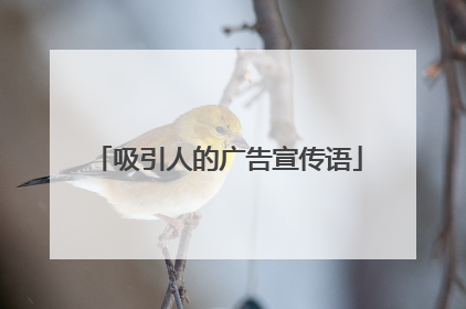 吸引人的广告宣传语