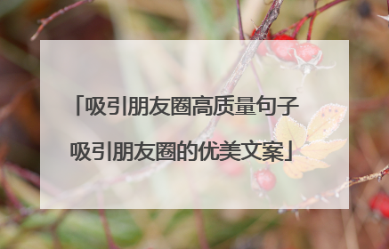 吸引朋友圈高质量句子 吸引朋友圈的优美文案