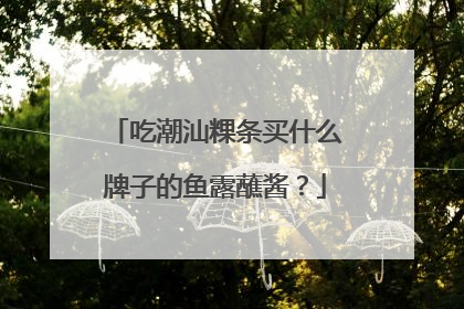 吃潮汕粿条买什么牌子的鱼露蘸酱？