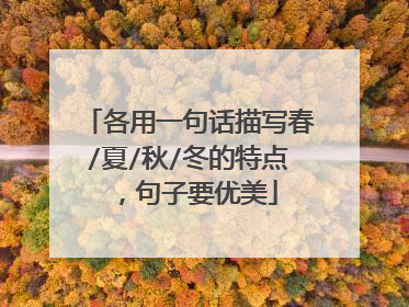 各用一句话描写春/夏/秋/冬的特点，句子要优美