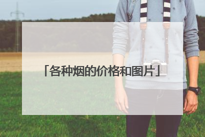 各种烟的价格和图片