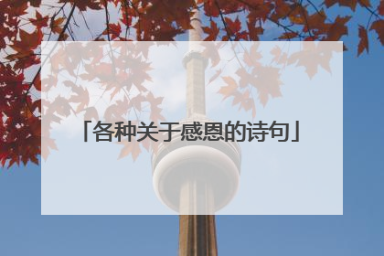 各种关于感恩的诗句