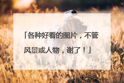 各种好看的图片，不管风景或人物，谢了！