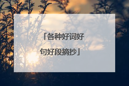 各种好词好句好段摘抄