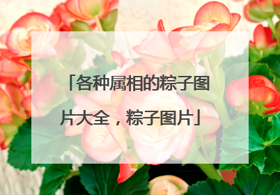 各种属相的粽子图片大全,粽子图片