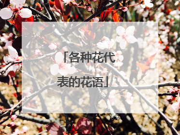 各种花代表的花语