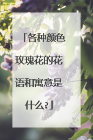 各种颜色玫瑰花的花语和寓意是什么?
