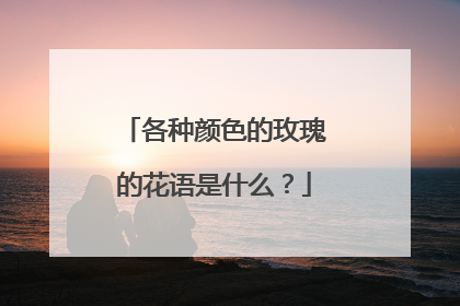 各种颜色的玫瑰的花语是什么?