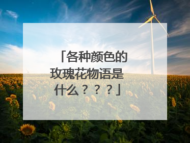 各种颜色的玫瑰花物语是什么???