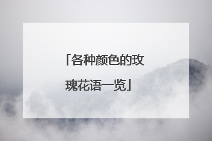 各种颜色的玫瑰花语一览