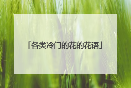 各类冷门的花的花语
