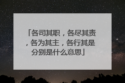 各司其职，各尽其责，各为其主，各行其是分别是什么意思