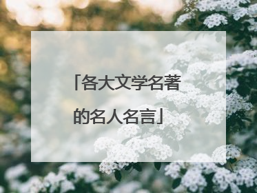 各大文学名著的名人名言