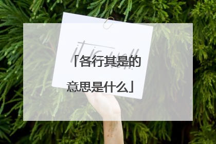 各行其是的意思是什么