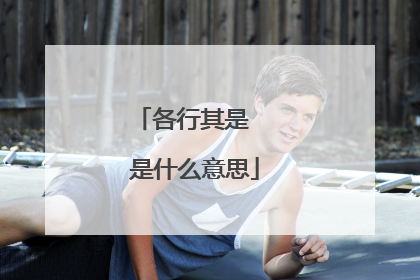 各行其是  是什么意思