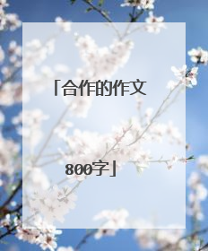 合作的作文800字