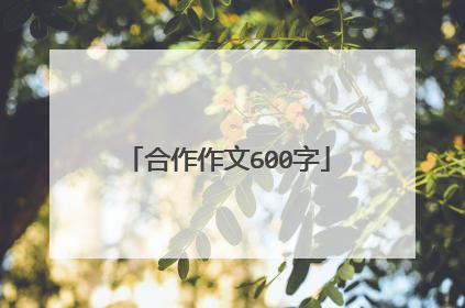 合作作文600字