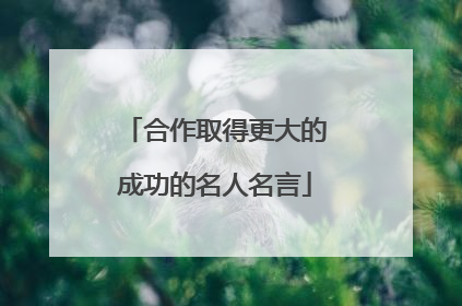 合作取得更大的成功的名人名言