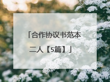 合作协议书范本二人【5篇】