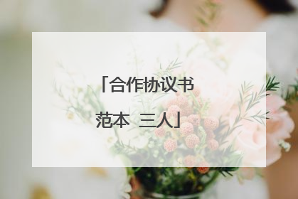 合作协议书范本 三人