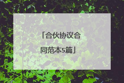 合伙协议合同范本5篇