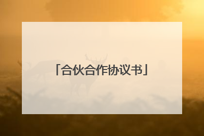 合伙合作协议书