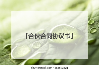 合伙合同协议书