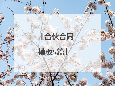 合伙合同模板5篇
