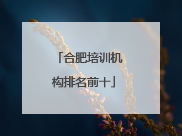 合肥培训机构排名前十