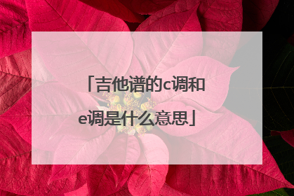 吉他谱的c调和e调是什么意思