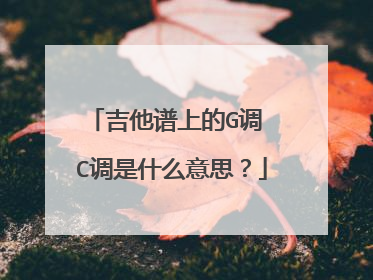 吉他谱上的G调 C调是什么意思？
