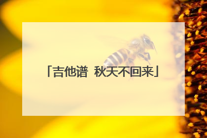 吉他谱 秋天不回来