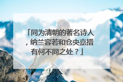 同为清朝的著名诗人,纳兰容若和仓央嘉措有何不同之处?