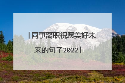 同事离职祝愿美好未来的句子2022
