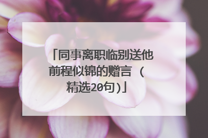 同事离职临别送他前程似锦的赠言 (精选20句)