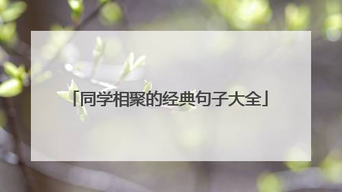 同学相聚的经典句子大全