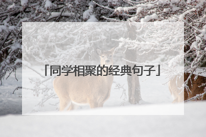 同学相聚的经典句子