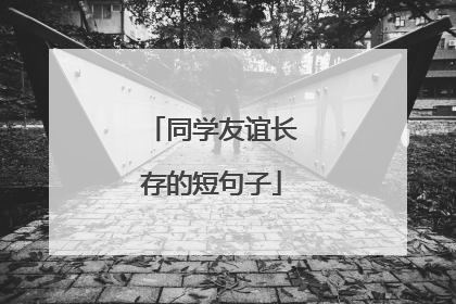 同学友谊长存的短句子