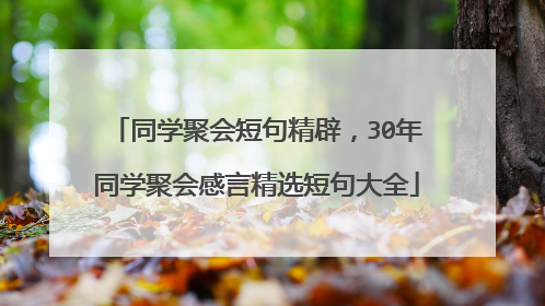 同学聚会短句精辟,30年同学聚会感言精选短句大全