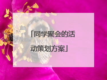 同学聚会的活动策划方案