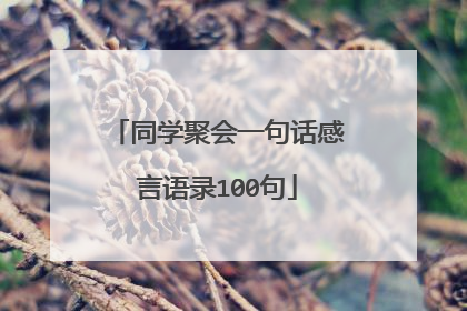 同学聚会一句话感言语录100句
