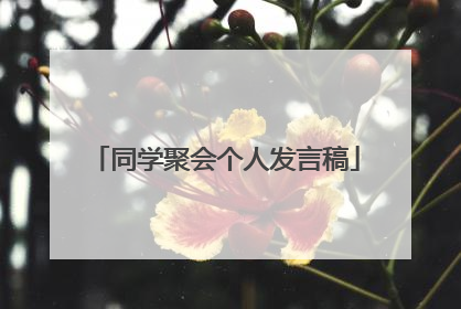 同学聚会个人发言稿