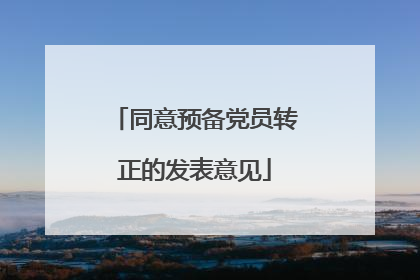 同意预备党员转正的发表意见