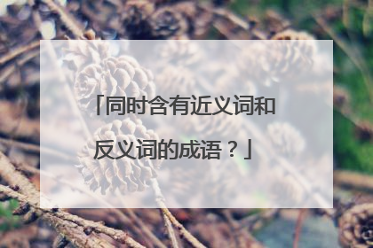 同时含有近义词和反义词的成语？